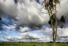 惠普LaserJet Tank 1005w打印机重置