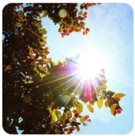 真的是带宽不够？98%的网络拥塞根本不是加带宽能解决的