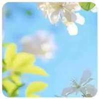 使用 kubectl drain 从服务中删除一个节点