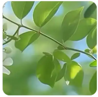 真的是带宽不够？98%的网络拥塞根本不是加带宽能解决的