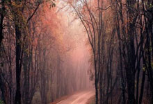 电脑基础！ESP/MSR分区简介，以及其特性详解。